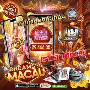 ฮานอยพิเศษ